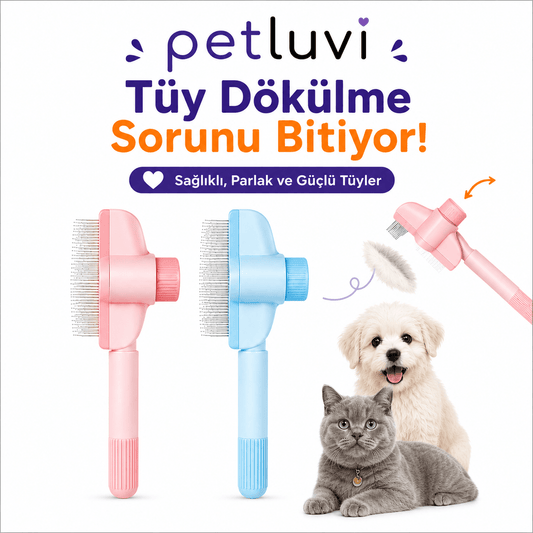 Petluvi™ Masaj Etkili Tüy Temizleyici Tarak